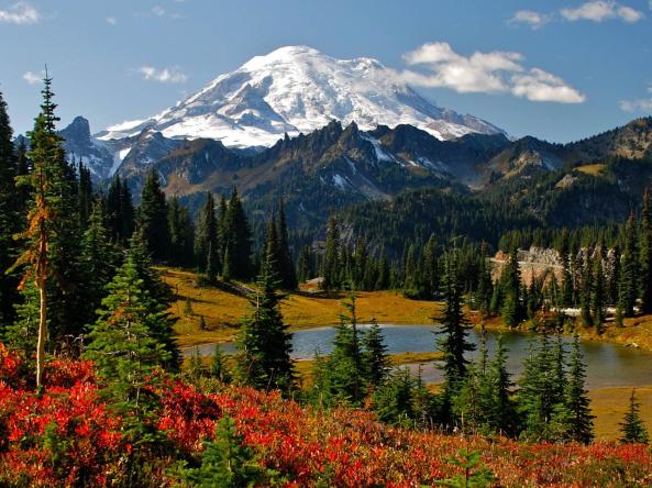 Green trees and fall foliage in front of mountains in the Pacific Northwest