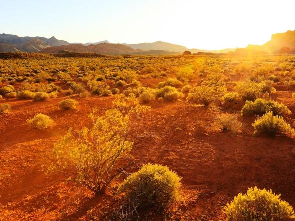 Nevada desert