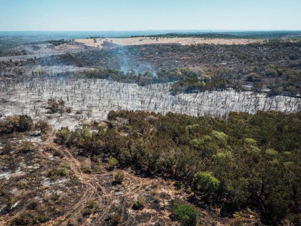 Wildfire in Round Mountain, Texas. Credit: Jefferson Carroll via Adobe Stock.