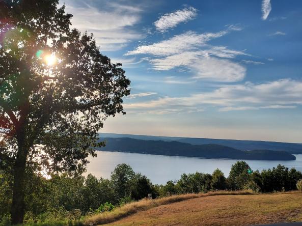 Moderate drought conditions in late September 2023 resulted in widespread browning and drying of grasses in Jackson County, Alabama. Image from Brianne Minton, Alabama Cooperative Extension.