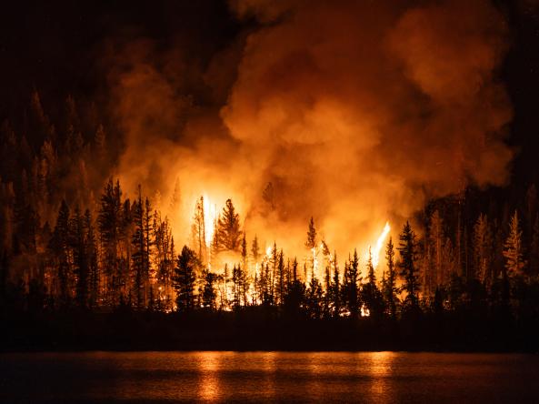 Forest fire near Interlaken, Twin Lakes, Colorado. Photo credit: David W Shaw, Adobe Stock.
