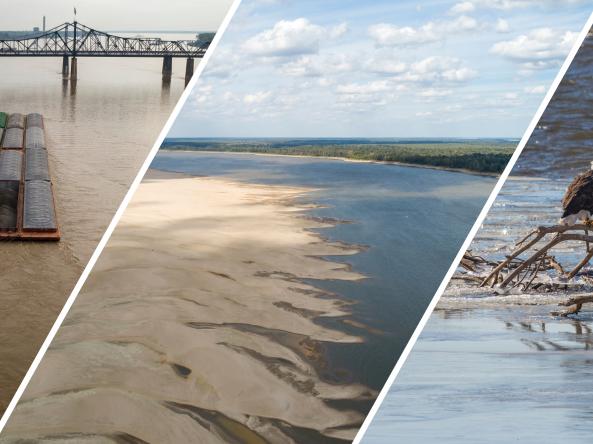 A barge on the Mississippi River, low water levels on the Mississippi, and bald eagles resting on a branch in the river. Photo credits: Justin Wilkens (first two photos) and Thomas O'Neil (third photo), Shutterstock.