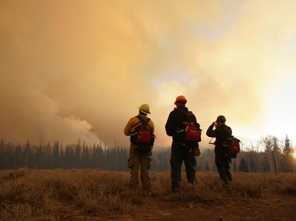 Three firefighters looking at smoke from a forest fire.
