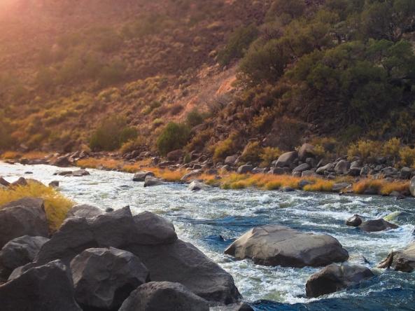 Water flowing in the Rio Grande River.