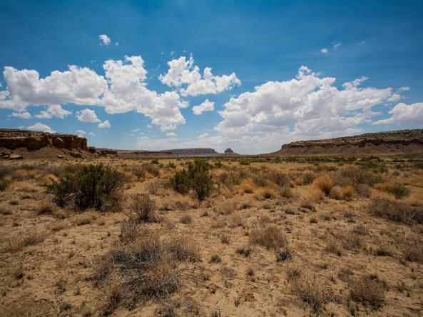 New Mexico desert with dried out brush, representing the impacts of drought on vegetation. Photo credit: Groundrush, Shutterstock.