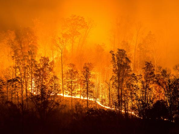 The Fall 2022 NASA DEVELOP team will assess environmental indicators in the weeks and months before two destructive U.S. wildfires.