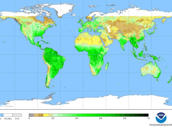 NDVI greenness map example