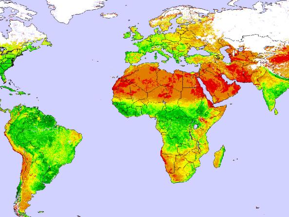 Example NDVI map