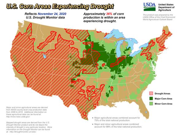 Map of U.S. corn crops in drought