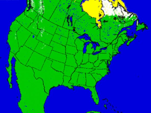 Snow Cover Map example image
