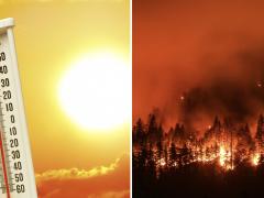 A thermometer showing high temperatures alongside burning trees from wildfire