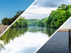 Three images of the ACF River Basin, showing a field of cotton, the Chattahoochee River, and a boat docked in Apalachicola Bay