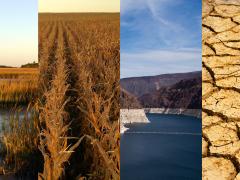 Four images of drought in different parts of the country: a marsh on the East Coast, dry corn crops in the Midwest, the Hoover Dam with low water levels, and dry cracked earth.