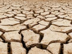 Dry, cracked earth representing drought.