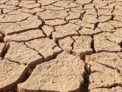 Dry cracked earth, representing drought.