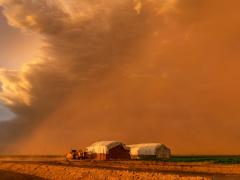 Dust storm over a farm in Arizona, representing drought impacts on air quality that can exacerbate respiratory illnesses. Image credit: Kyle Benne, Shutterstock.
