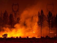 Smoke Rises from Forest Fire. Photo credit: My Photo Buddy, Shutterstock.