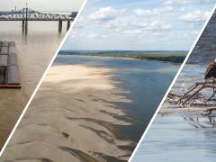 A barge on the Mississippi River, low water levels on the Mississippi, and bald eagles resting on a branch in the river. Photo credits: Justin Wilkens (first two photos) and Thomas O'Neil (third photo), Shutterstock.