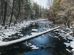 A river surrounded by trees in Yosemite National Park, with snow coating the ground