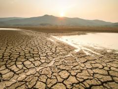research findings drought