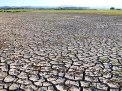 Cracked Mud Flats on a Hot Summer Day, Eugene, Oregon, USA