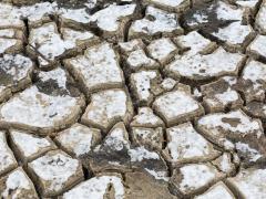 A thin layer of snow atop dry, cracked soil, representing snow drought. Image credit: Chris Redan, Shutterstock.