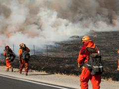 Firefighters walking toward a fire represent the wildfire management sector.