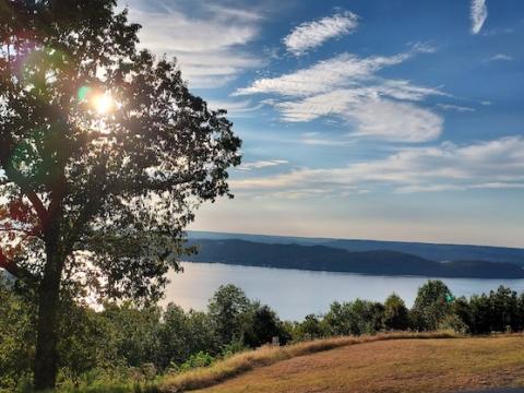 Moderate drought conditions in late September 2023 resulted in widespread browning and drying of grasses in Jackson County, Alabama. Image from Brianne Minton, Alabama Cooperative Extension.