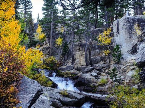 Fall foliage and running water in the California-Nevada region.