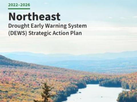 Cover of the Northeast DEWS Strategic Action Plan