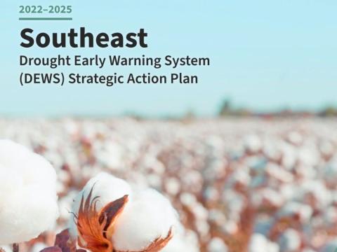 Field of cotton on the cover of the Southeast DEWS Strategic Action Plan