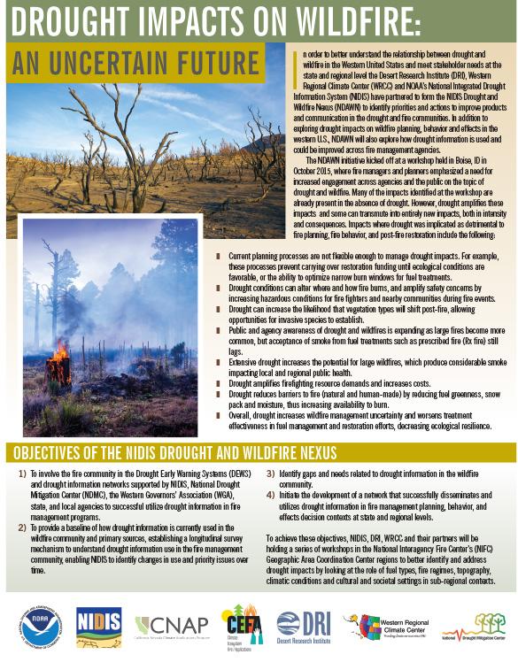 first page of two-pgaer has text and images of burning  forest, dead trees
