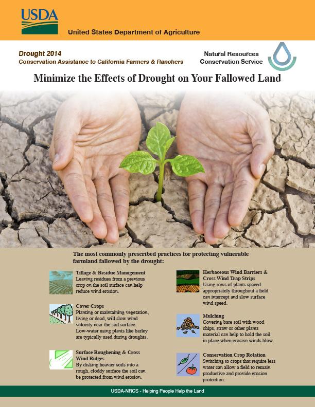 opening slide for presentation on minimizing drought effects