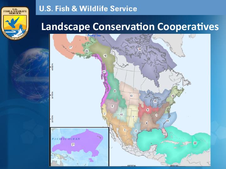 Title slide from presentation on Drought and Wildlife depicting a map of the United States alongside the US Fish and Wildlife Service logo