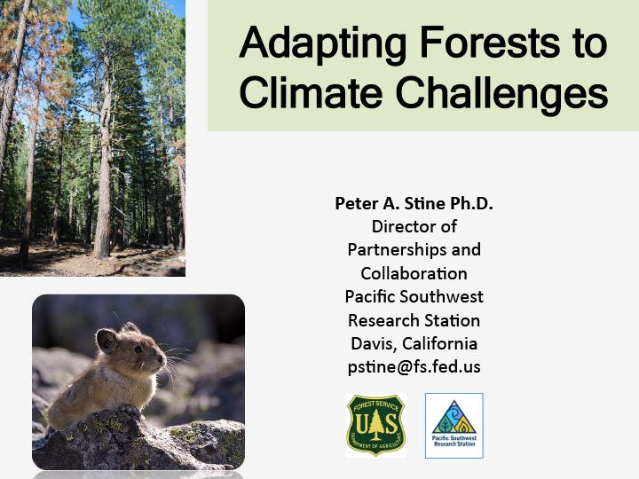 Opening slide for presentation on adapting forests for climate change by Peter. A. Stine