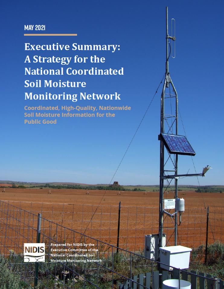 Cover page for the executive summary