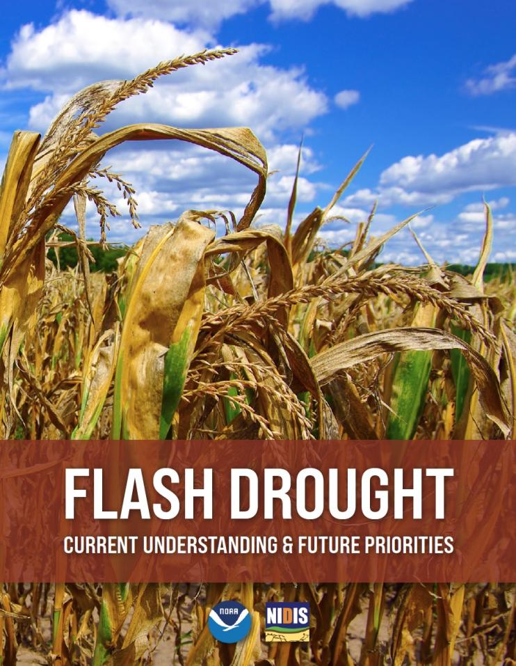 Report cover page, showing dried out corn crops due to drought
