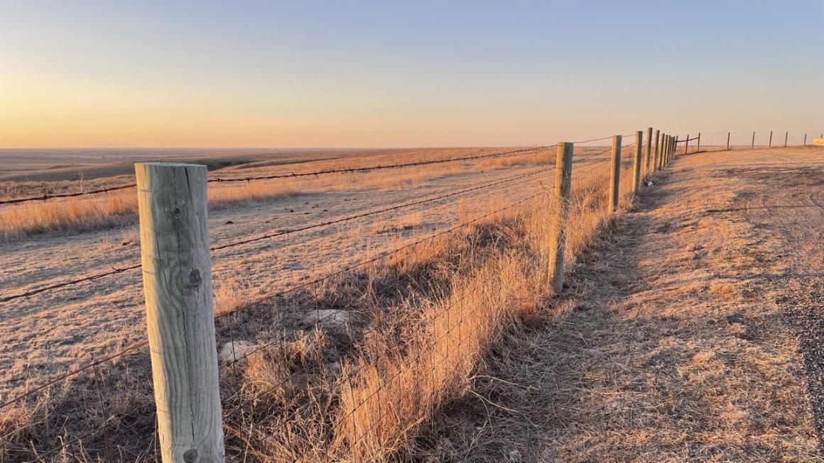 Dry grasses along a fence near Scott City, Kansas. Photo credit: Joel Lisonbee, CIRES/NOAA/NIDIS.