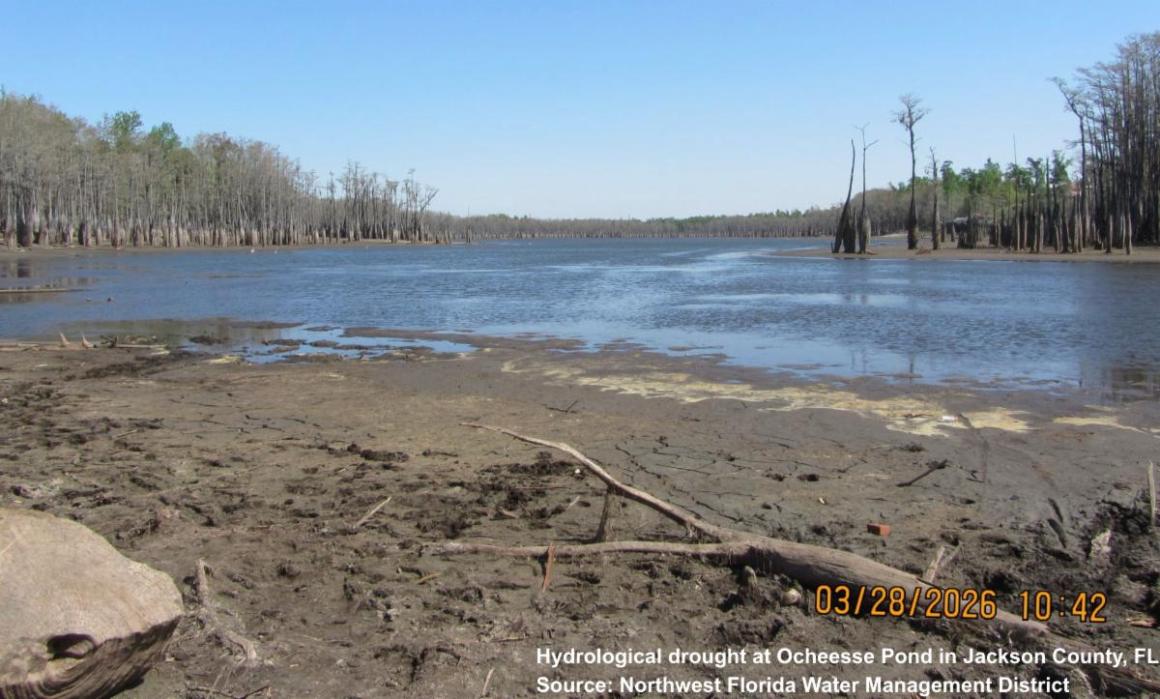 Hydrological drought at Ocheesse Pond in Jackson County, Florida.