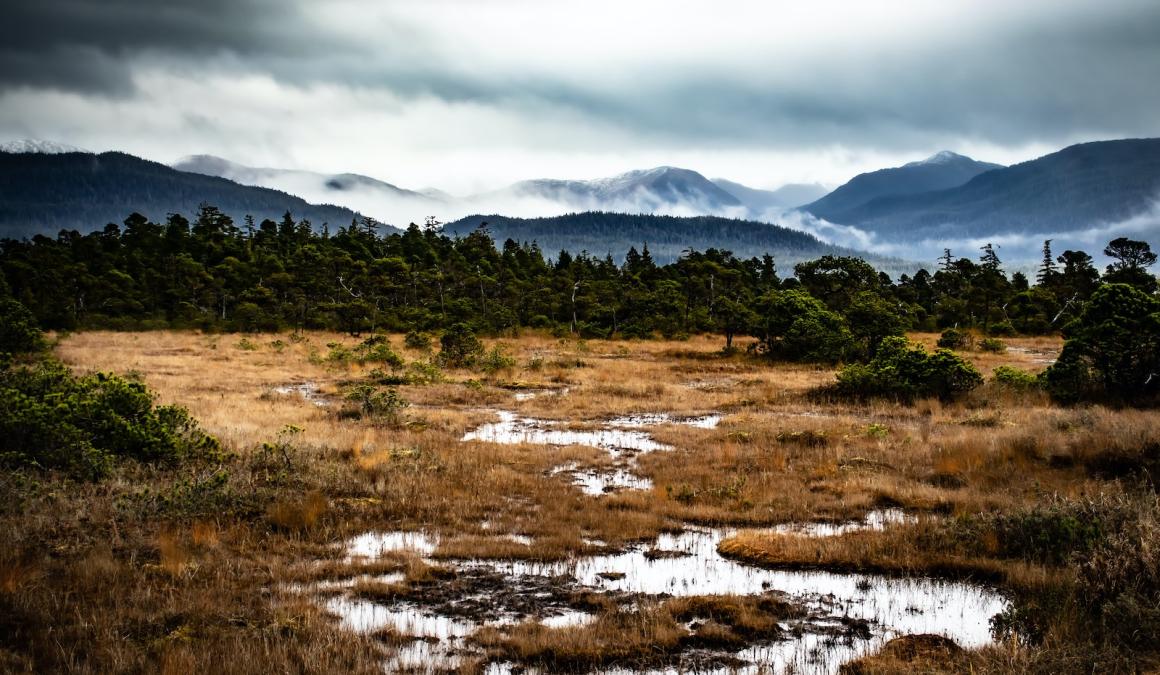 Drought conditions in Wrangell Island, Alaska.