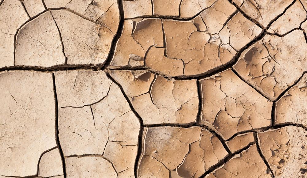 Dried out, cracked muddy ground, showing drought conditions