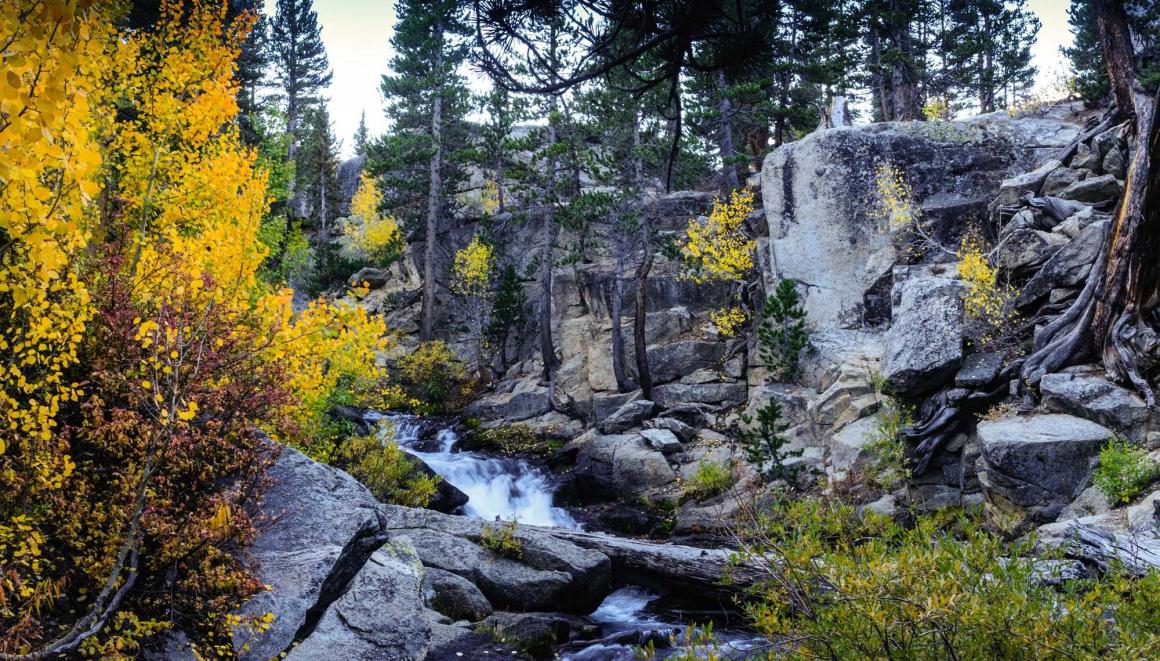 A rocky forest landscape with a flowing stream in the California-Nevada DEWS