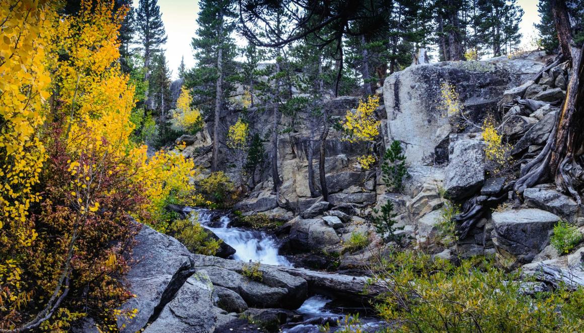 A rocky forest landscape with a flowing stream