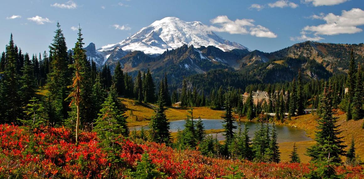 A lake, trees, and flowers in front of a mountain in the Pacific Northwest.