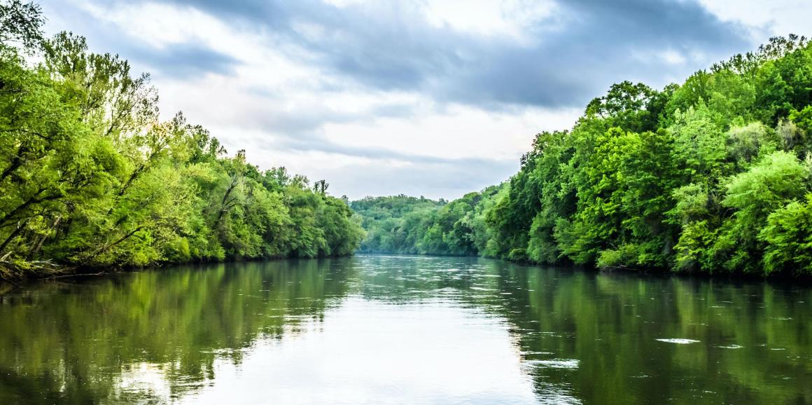 Chattahoochee River and trees on a cloudy day