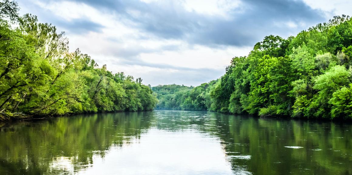 A river between rows of green trees.