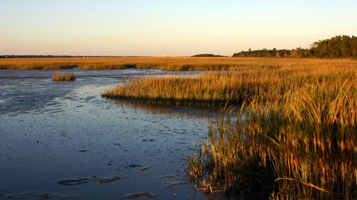 North Carolina coastal inlet, with dry grasses.