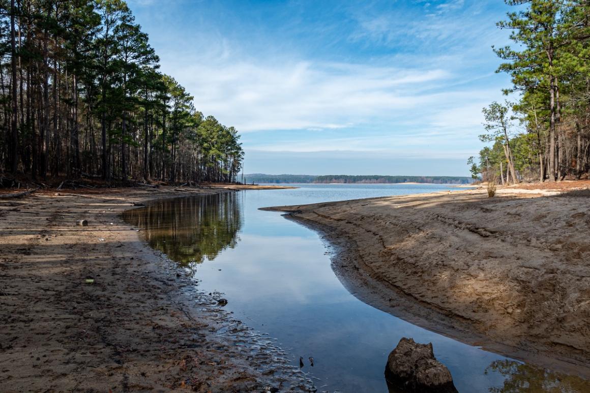 Drought at Jordan Lake in the Raleigh North Carolina area. Photo credit: John Alexander Mundy, Shutterstock.