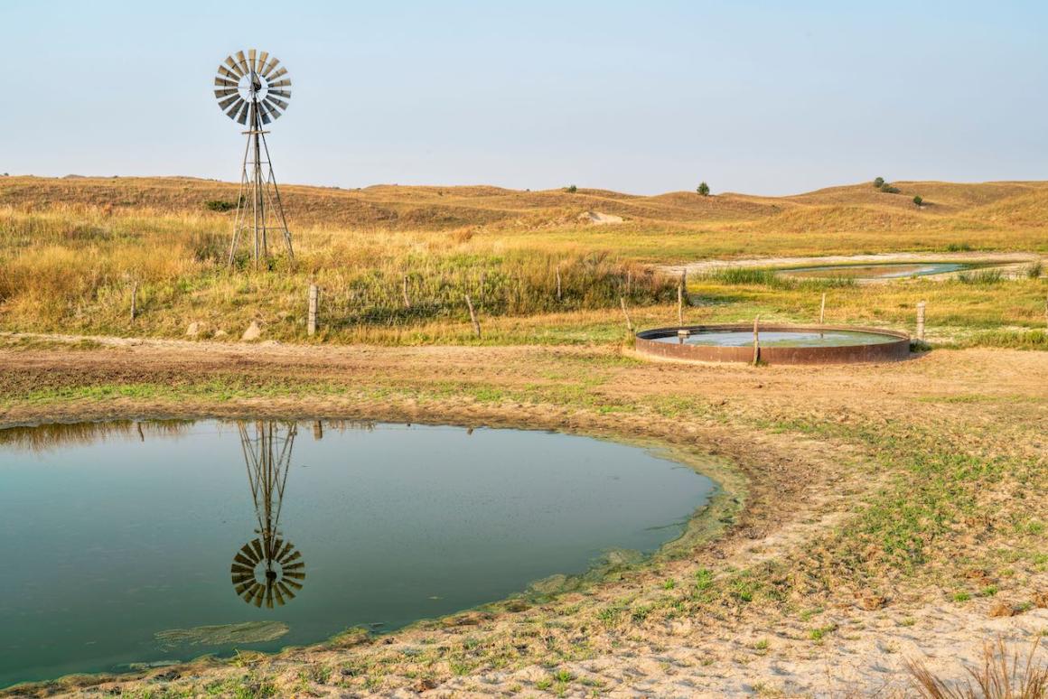 A windmill next to a pond in a Nebraska field.