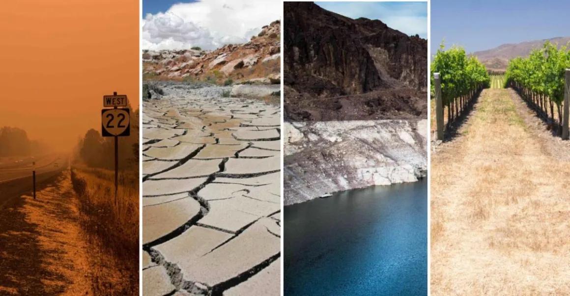 Photos showing the impacts of drought, depicting extreme heat, dry cracked earth, low lake levels, and impacted crops.